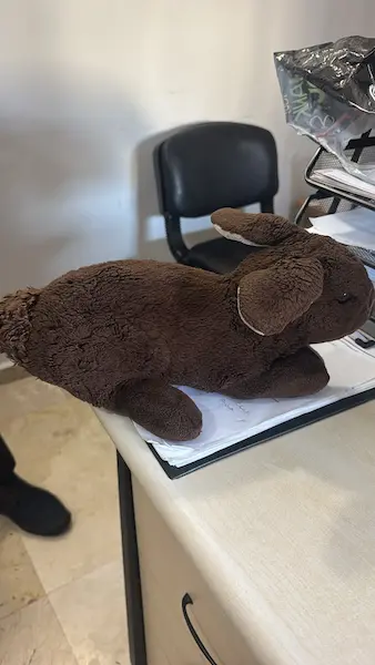 Stuffed bunny collected from Serenis Hotel Side by Ana Kurye
